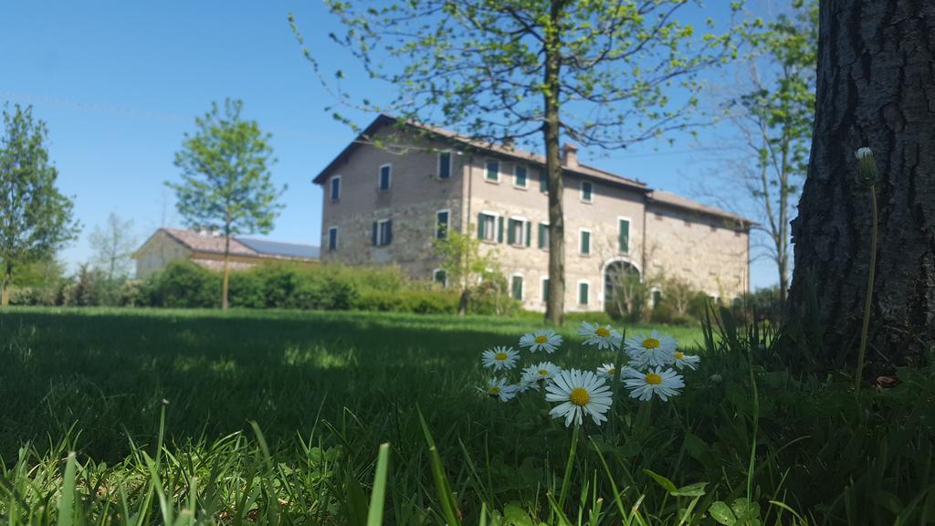 הוילה סקנדיאנו Agriturismo Il Brugnolo מראה חיצוני תמונה