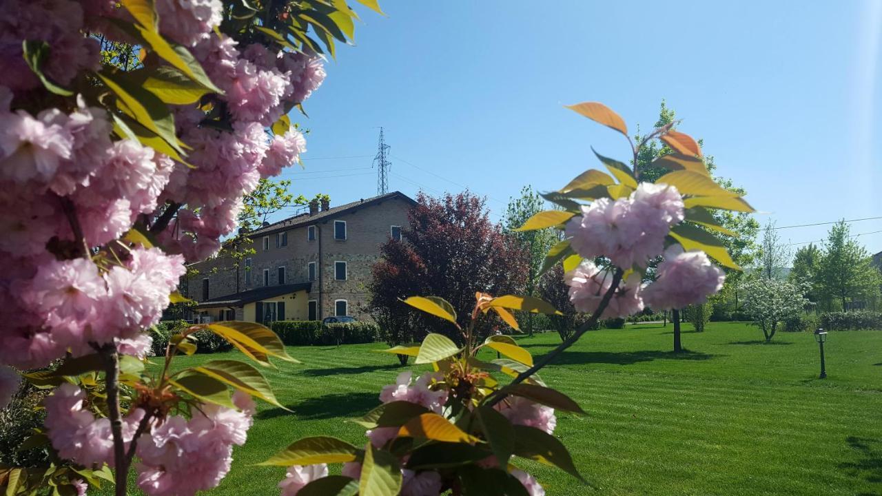 הוילה סקנדיאנו Agriturismo Il Brugnolo מראה חיצוני תמונה